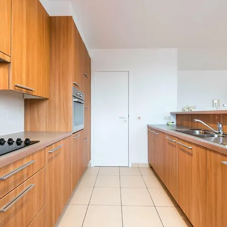 Ruim Duplex Op Wandelafstand Van Strand *